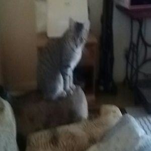 Meet your Posher, Regina