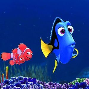 Meet your Posher, Shelia bailey