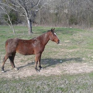 Meet your Posher, Denise