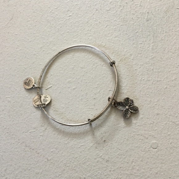 Alex and Ani Jewelry - Alex and Ani bracelet