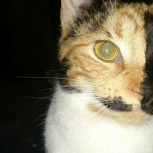 Meet your Posher, Elisa