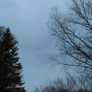 Meet your Posher, Whitney