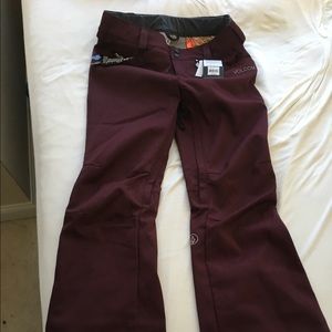 Volcom Species Snowboard pants