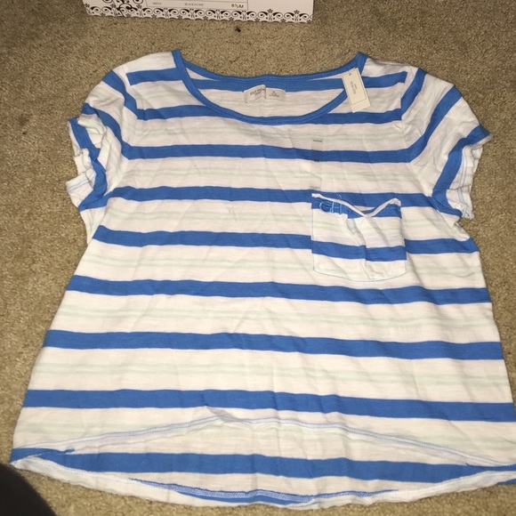 Gilly hicks brand new crop top with tags !