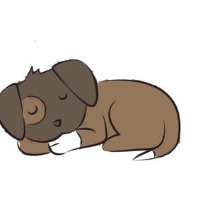 Meet your Posher, Elli