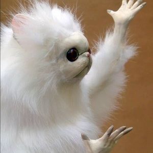 Meet your Posher, Julian