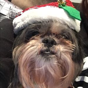 Meet your Posher, Earline