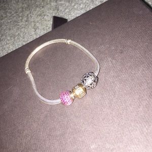 Pandora Charm bracelet