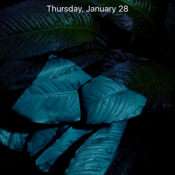 Meet your Posher, Rachel - Picture 1 of 1