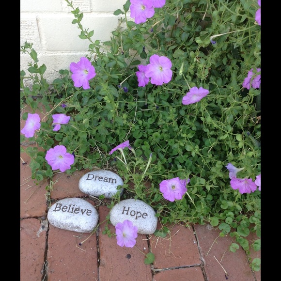 Meet your Posher, Ofe - Picture 2 of 3