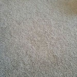 Meet your Posher, Carmen