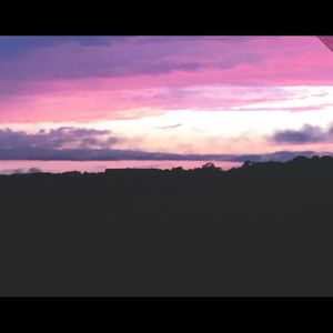 Meet your Posher, Madeline