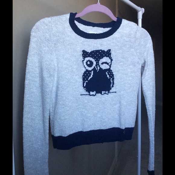 Owl, cropped, Sweater