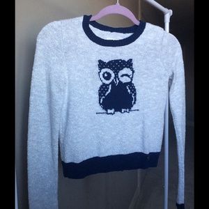 Owl, cropped, Sweater