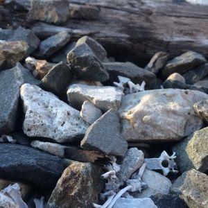 Meet your Posher, Alison