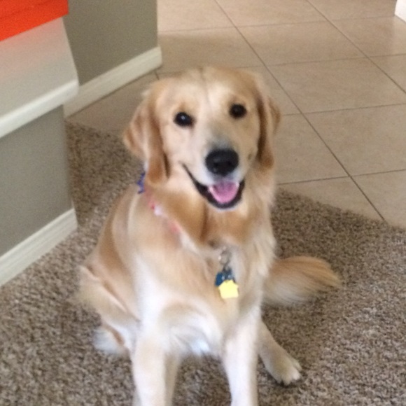 Meet your Posher, B - Picture 1 of 1