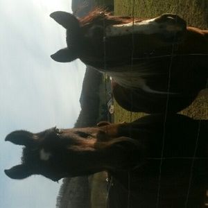 Meet your Posher, Gary