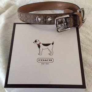 Coach leather dog collar