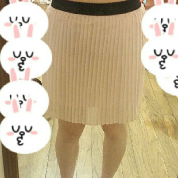 Last week!bogo! Pink Pleated Skirt