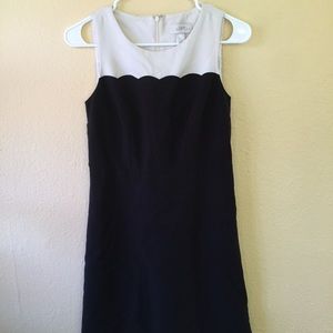 Loft interview dress