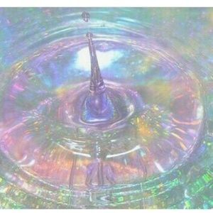 Meet your Posher, Dominga