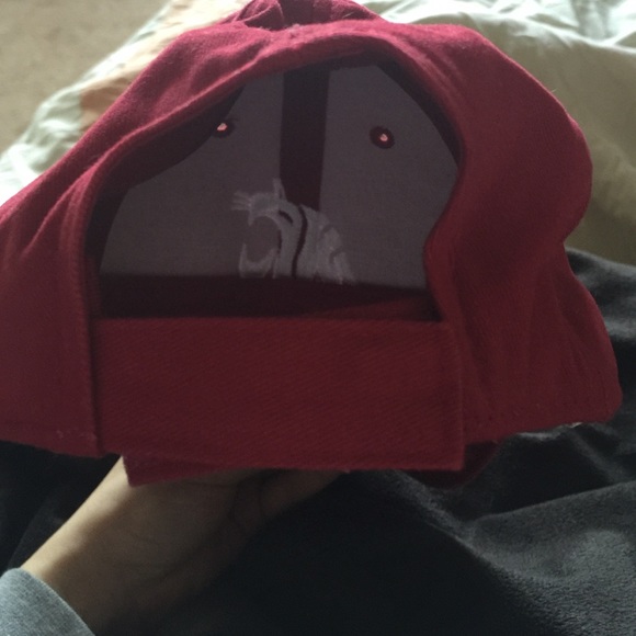 Coug hat - Picture 3 of 3