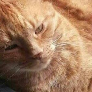 Meet your Posher, Kelley