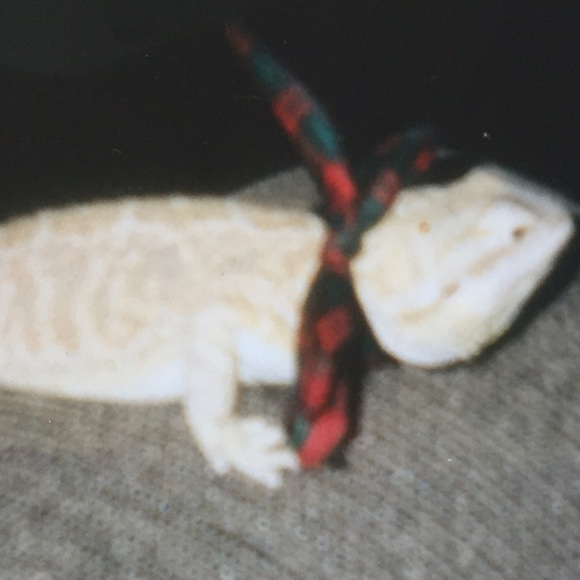 Meet your Posher, Tami - Picture 1 of 1