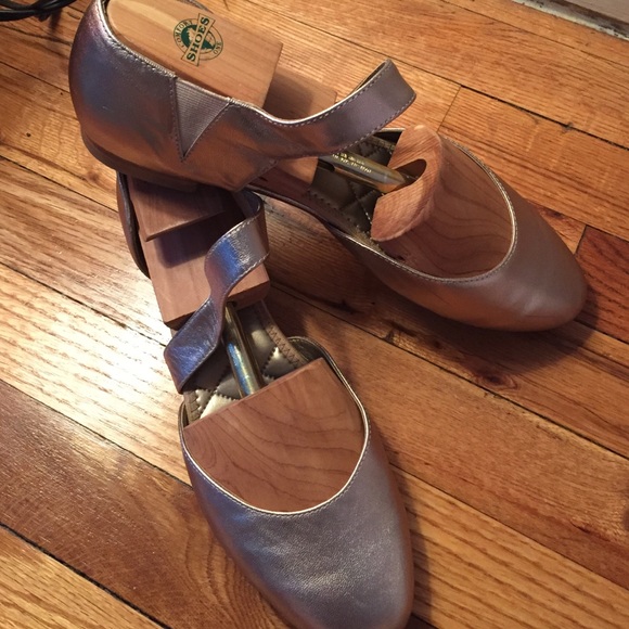 Sleek modern ballet flats in metallic.