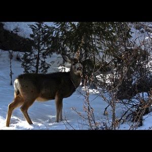 Meet your Posher, Jamie