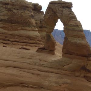 Meet your Posher, Janet