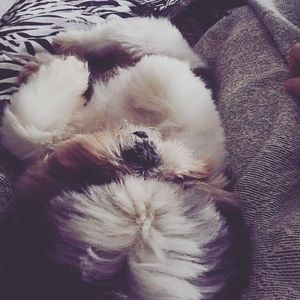 Meet your Posher, Earline