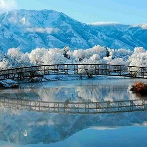 Meet your Posher, Frank