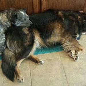 Meet your Posher, Natasha