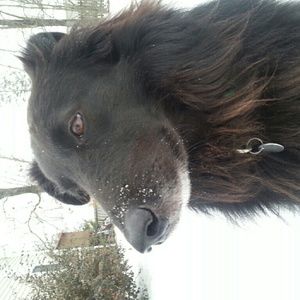 Meet your Posher, Radonna