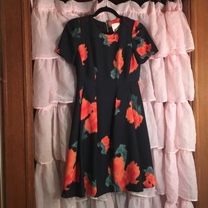 Anthropologie Dress