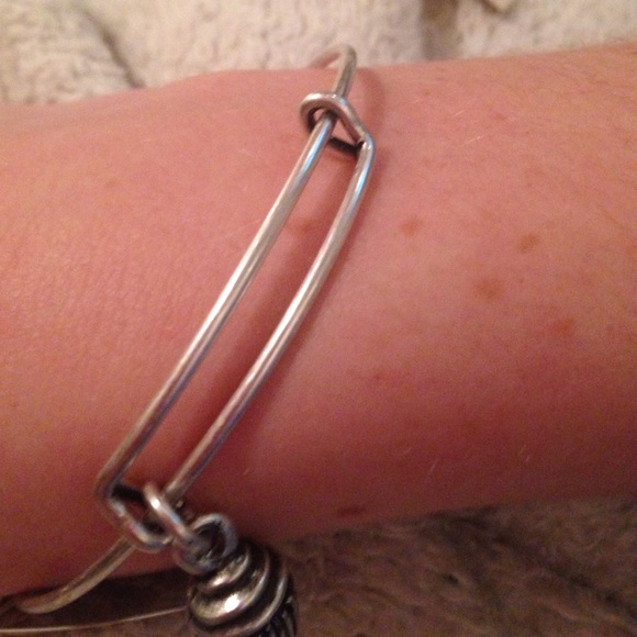Alex and Ani silver charm bracelet! - Picture 2 of 3