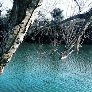 Meet your Posher, Desiree