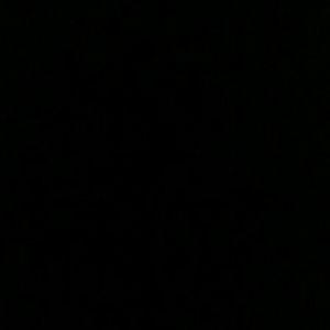 Meet your Posher, Jonte