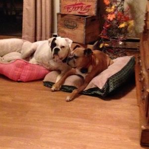 Meet your Posher, Katlyn