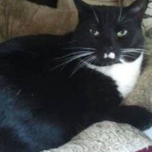 Meet your Posher, Kathi