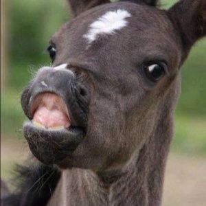 Meet your Posher, Tricia