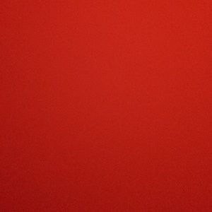 Meet your Posher, Ariel