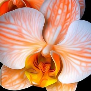 Meet your Posher, Araceli