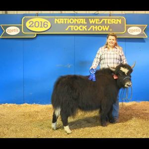 Meet your Posher, Carlice