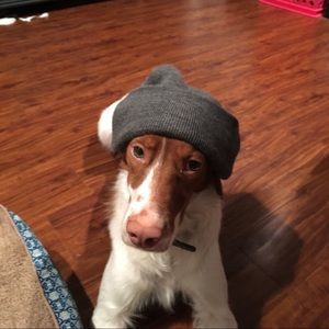 Meet your Posher, Nina