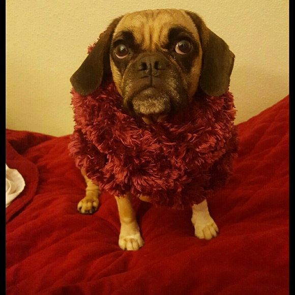 Hello ladies and gentlemen I'm so excited that we - Picture 3 of 4