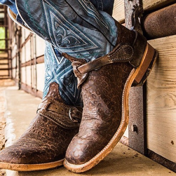 Meet your Posher, Trisha - Picture 1 of 1