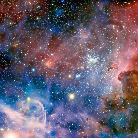 Meet your Posher, Violet