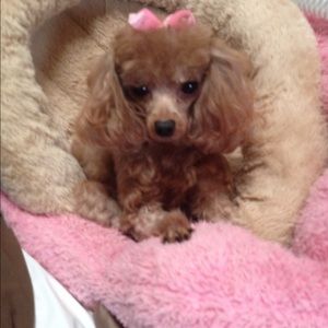 Meet your Posher, Thelma